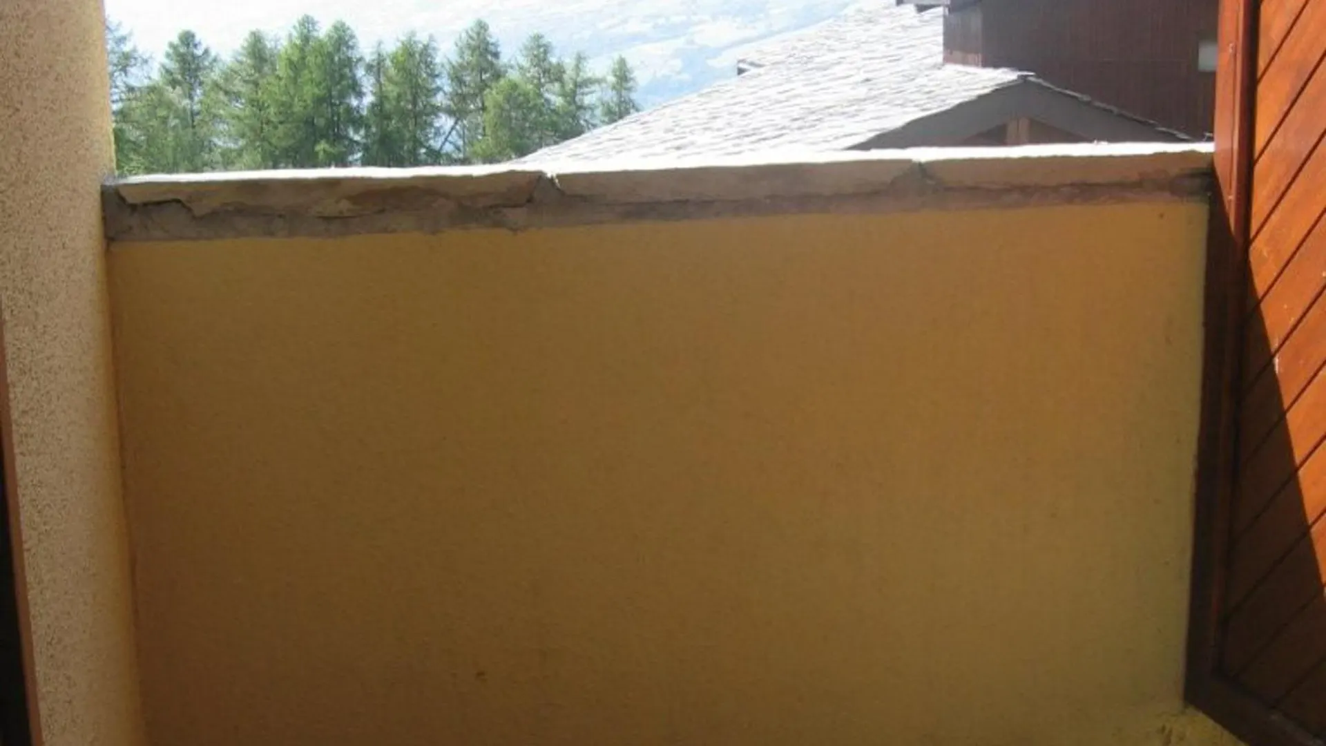 Studio Confortable Pour 3 Avec Balcon Et Animaux Acceptes A La Plagne - Fr-1-353-9 0*,