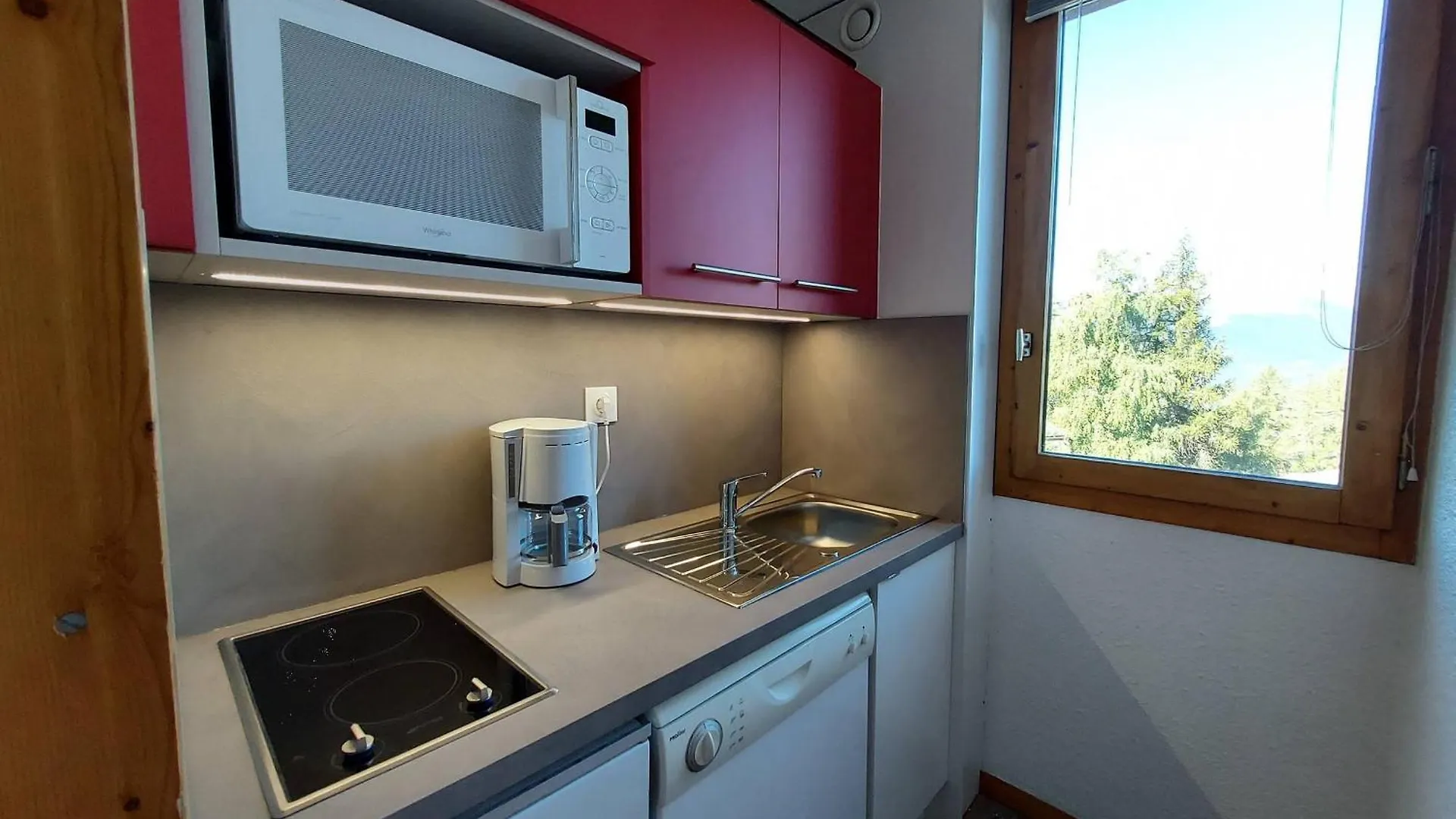 公寓 Studio Confortable Pour 3 Avec Balcon Et Animaux Acceptes A La Plagne - Fr-1-353-9